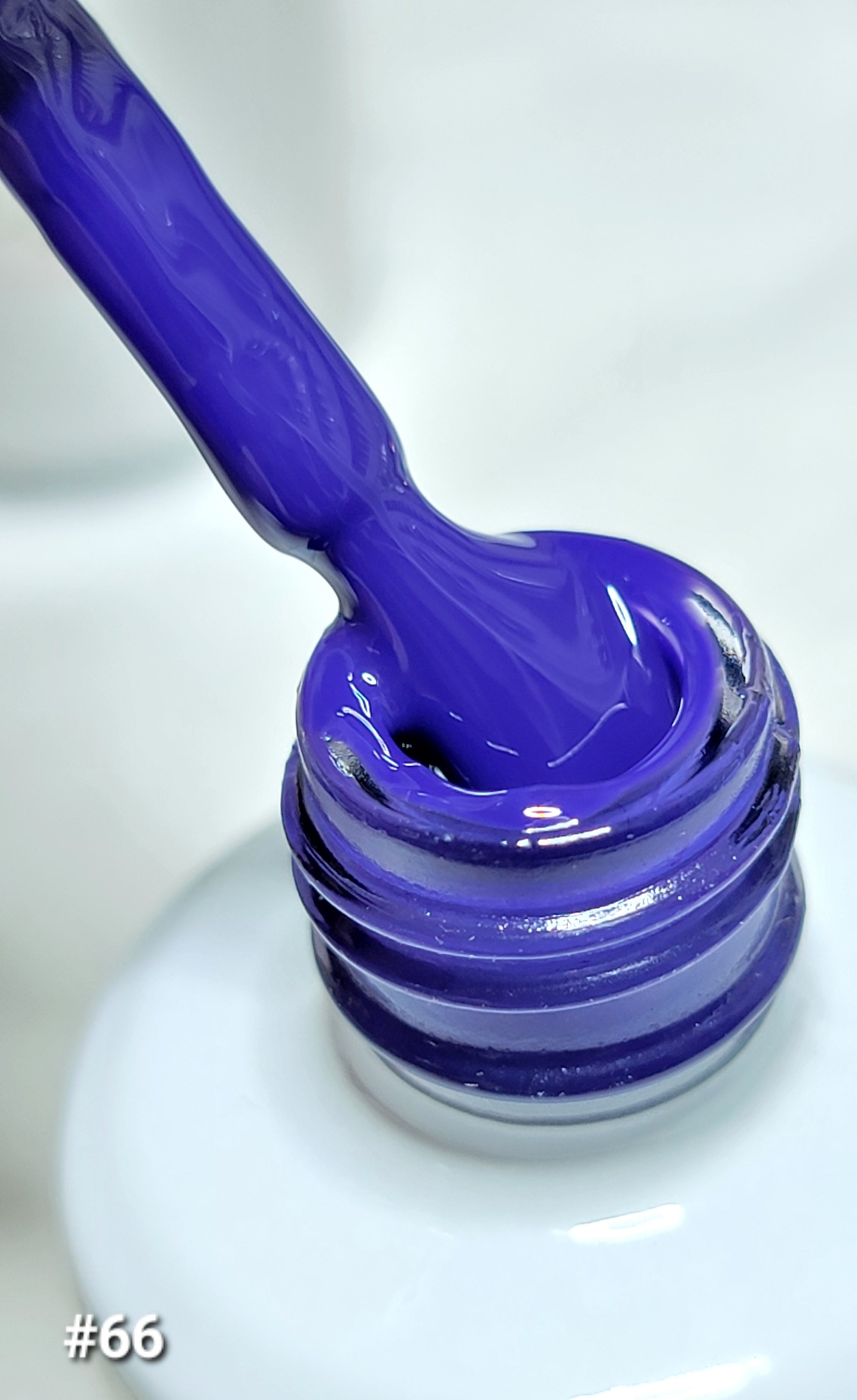 Color Gel 66