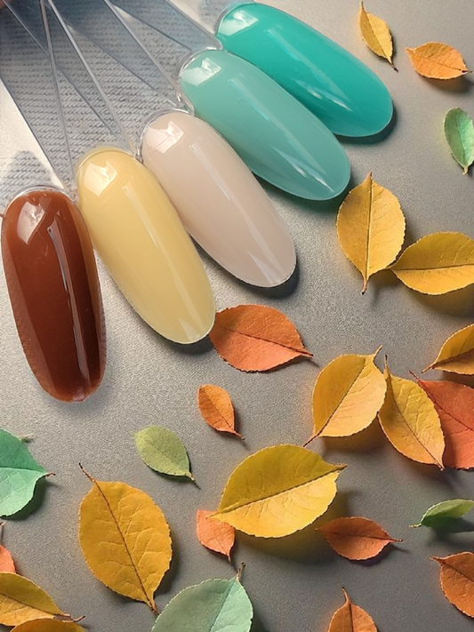 Autumn Collection