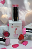 Xoxo Collection