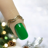Holiday Collection