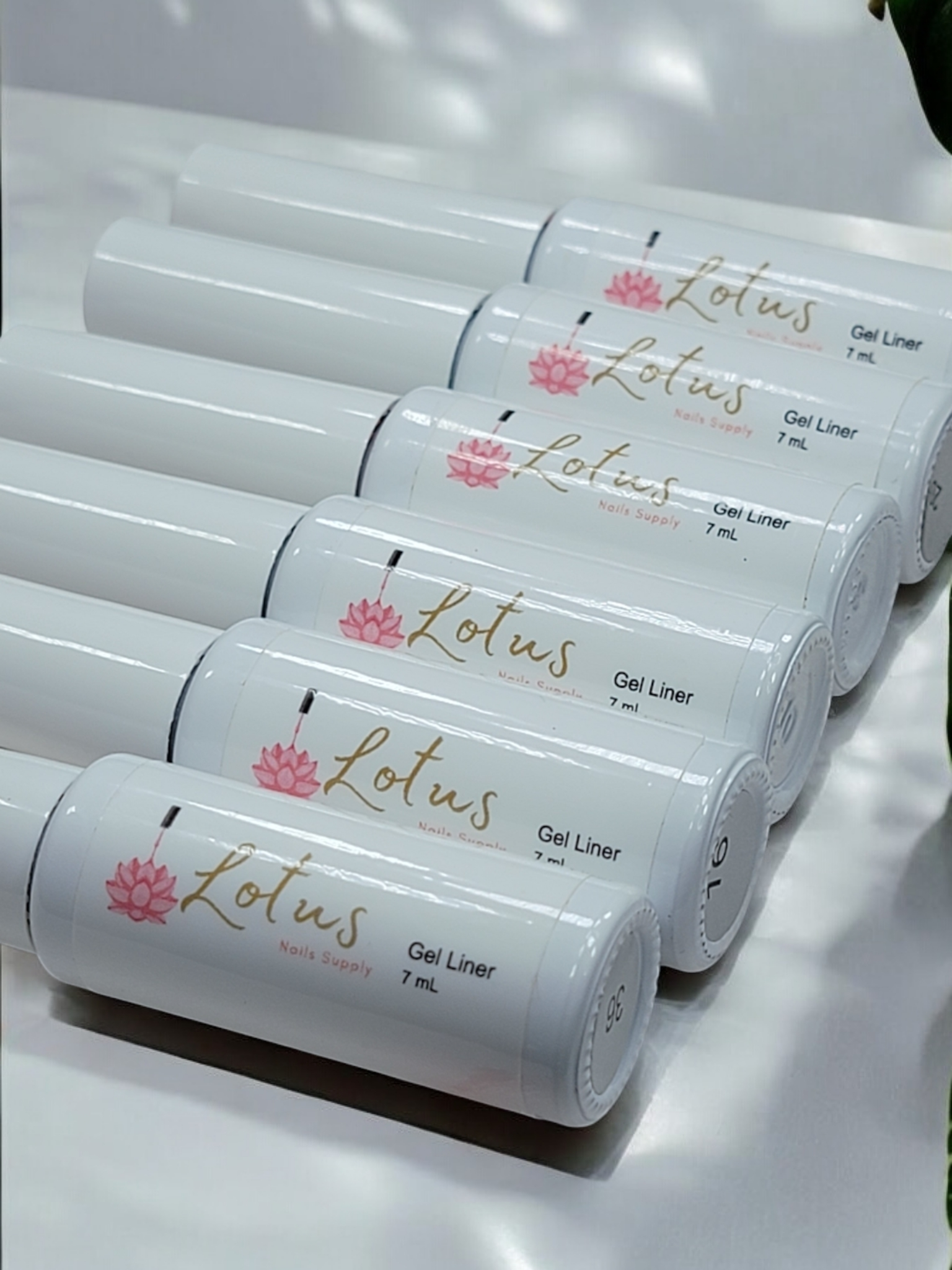 Liner Gel Collection one