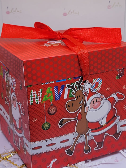 Navi mistery Box